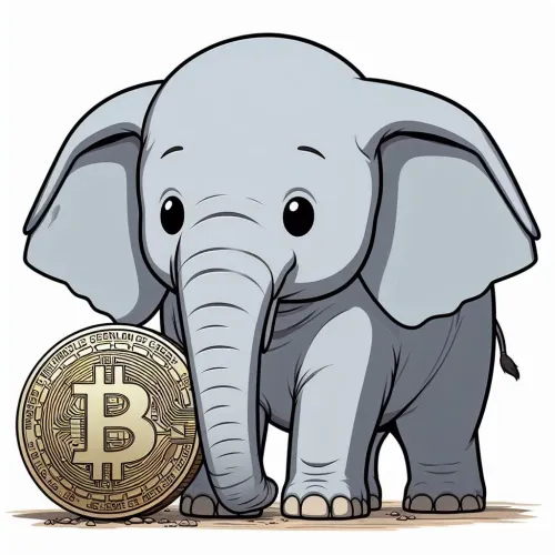 Crypto Elephant