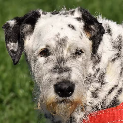 RV camping expeditions