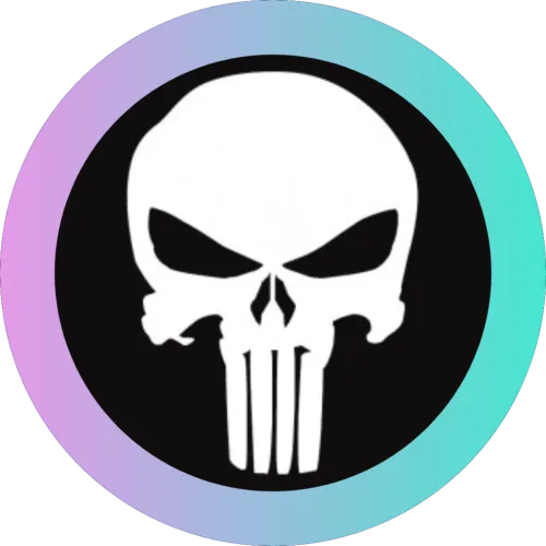 Punisher33311111