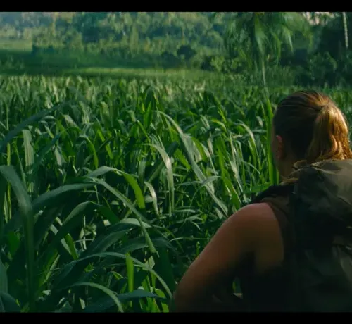 Touch Grass