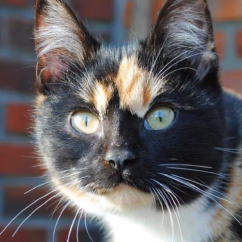 Castle accommodations abroad