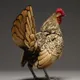 chicky chick