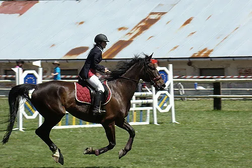 Biking through winding roads