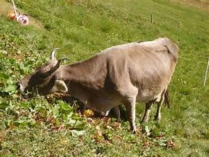 Personal development seminars