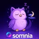 Owl Somnia