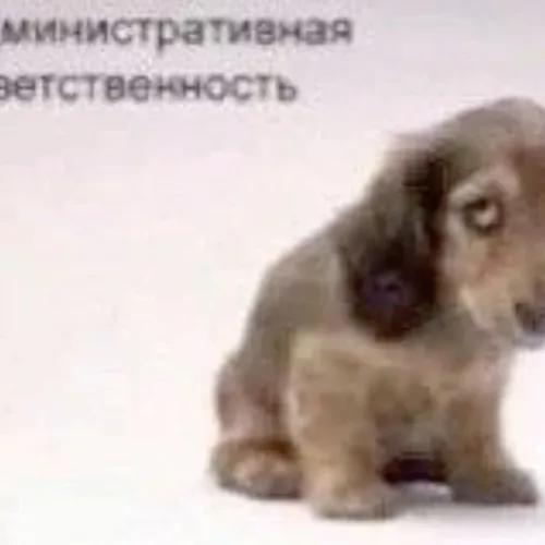 капишмара