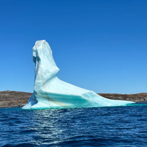 Iceberg