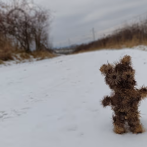 russia