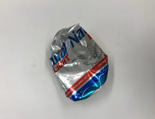 Wildlife photography expeditions