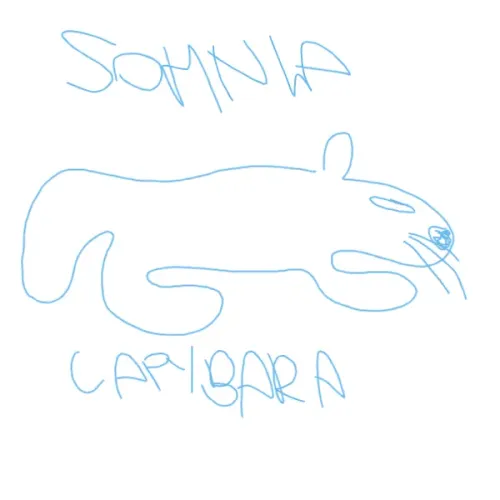 Capy BArA 