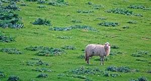 Aspirations pursuit journey