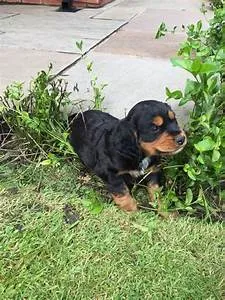 Future technology advancements