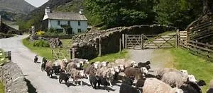 Luxurious outdoor experiences