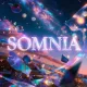 SOMNIA NEDIM