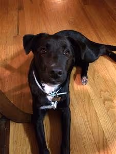 Lost civilization mysteries