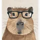 coolcapy