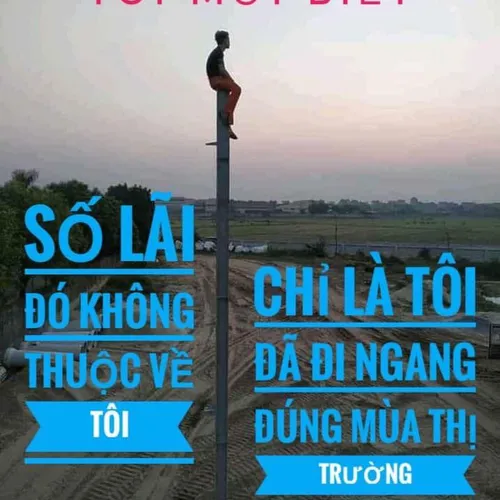du dinh