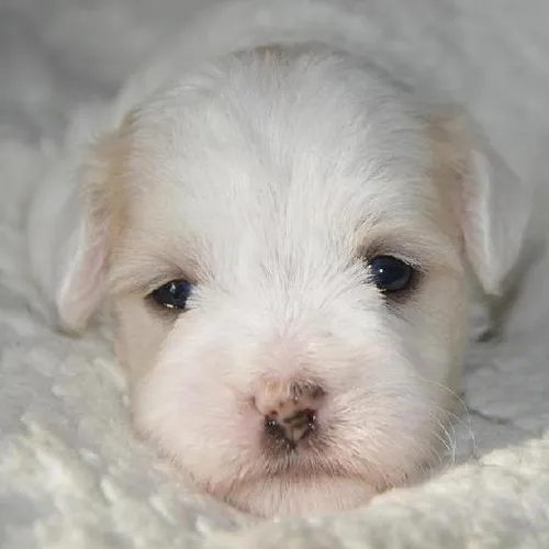 Emotional intelligence seminars