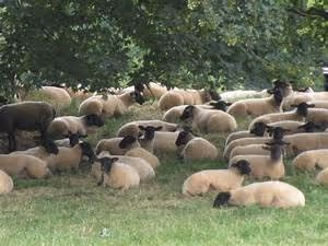 Spa and wellness retreats