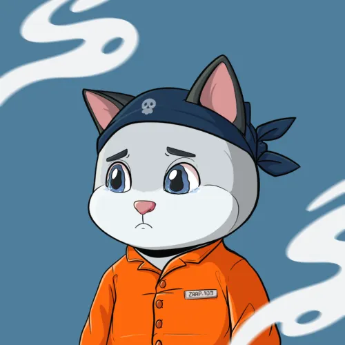 Sad cat