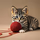 Bcat
