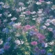 field