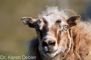 Innovative learning approaches