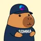 Capybara Somnia