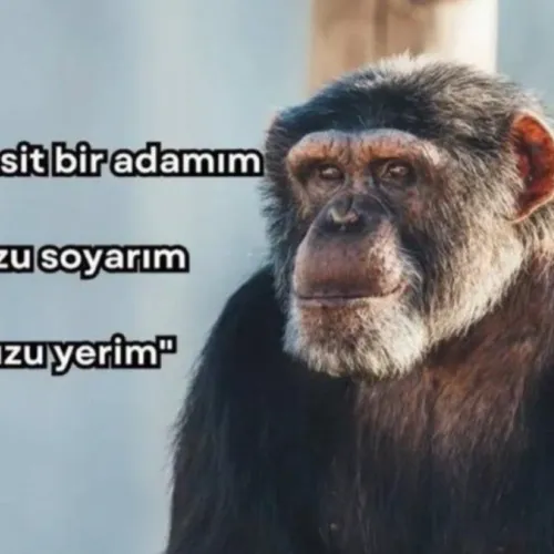 asdgfsdg