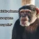 asdgfsdg