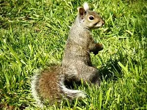 Personal development seminars