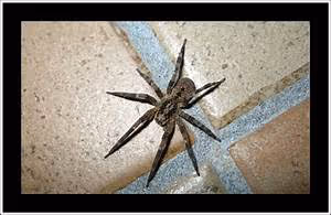 Culinary delights exploration