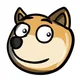 Dog eyes