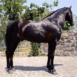 Spiritual pilgrimage journeys