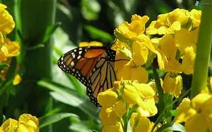 Desert oasis retreats