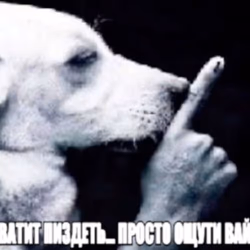 fgddfgfdg