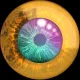 EYE