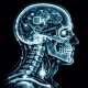 xrayy