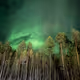 Breathe of nature