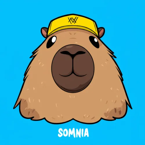 Somniac & Copybara Chronicles