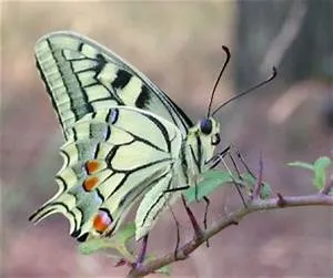 Revolutionizing education methods