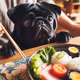 PUG Odyssey