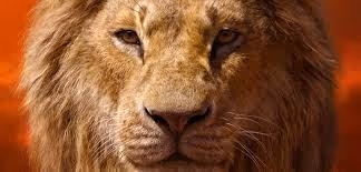 Wealth management insights