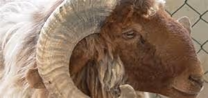 AI revolution unfolding