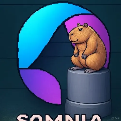 Copysomi