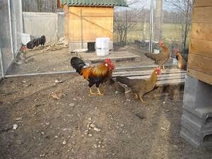 Arctic wilderness journeys