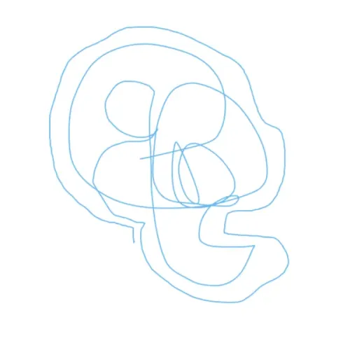 fds