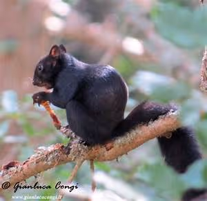 Frozen wilderness expeditions