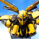 bee