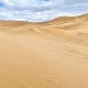 fsarg